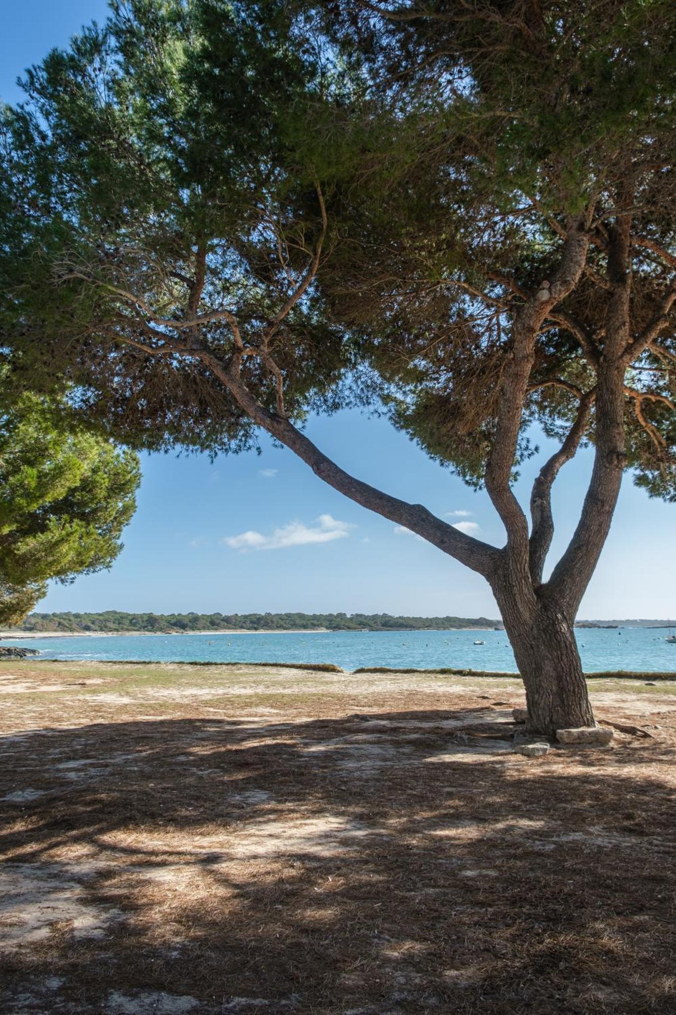 Alma Libre Beach Apartment Colonia de Sant Jordi Eksteriør bilde